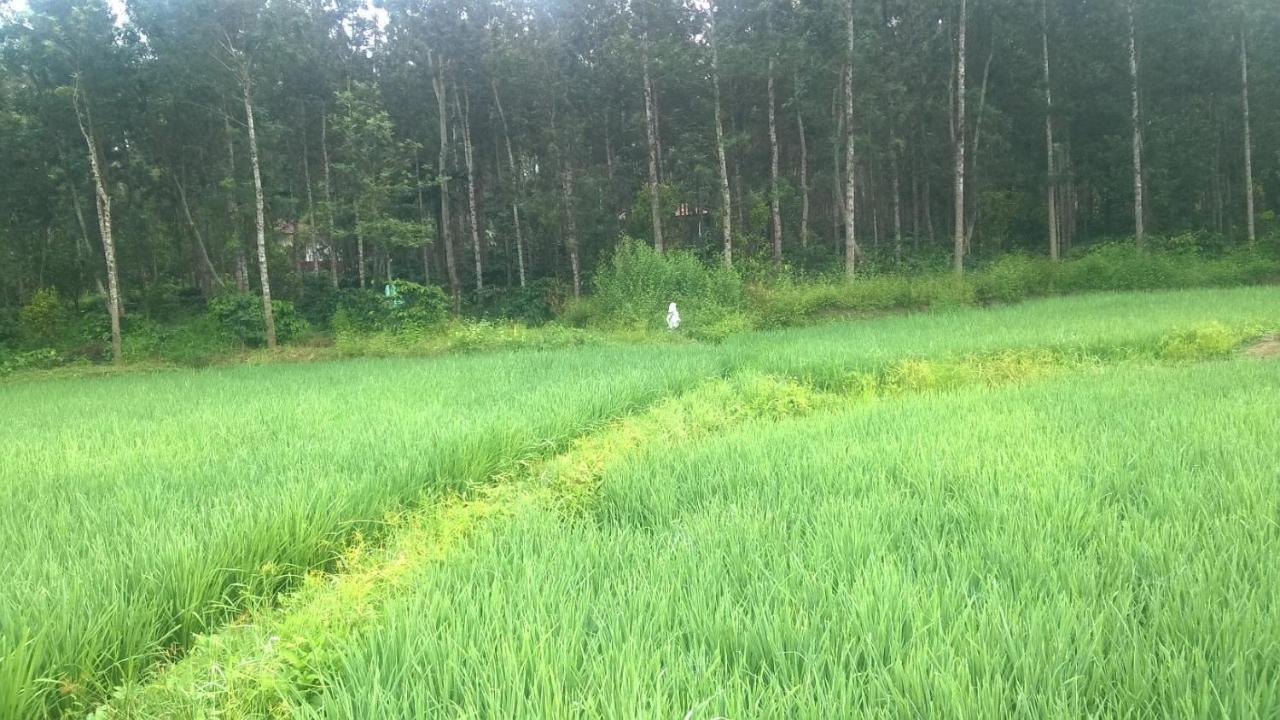 Rai Cottage @ Coorg ,Suntikoppa エクステリア 写真
