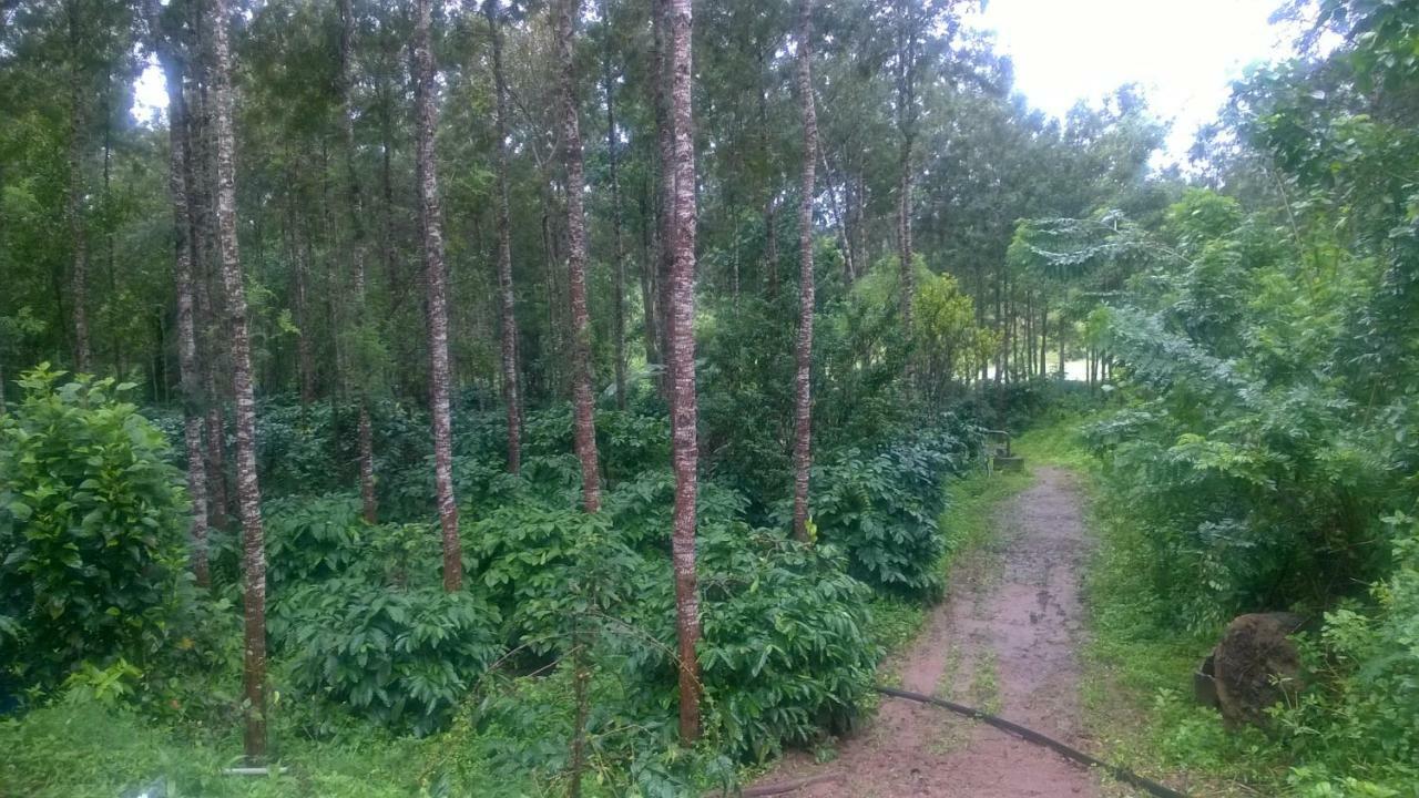 Rai Cottage @ Coorg ,Suntikoppa エクステリア 写真