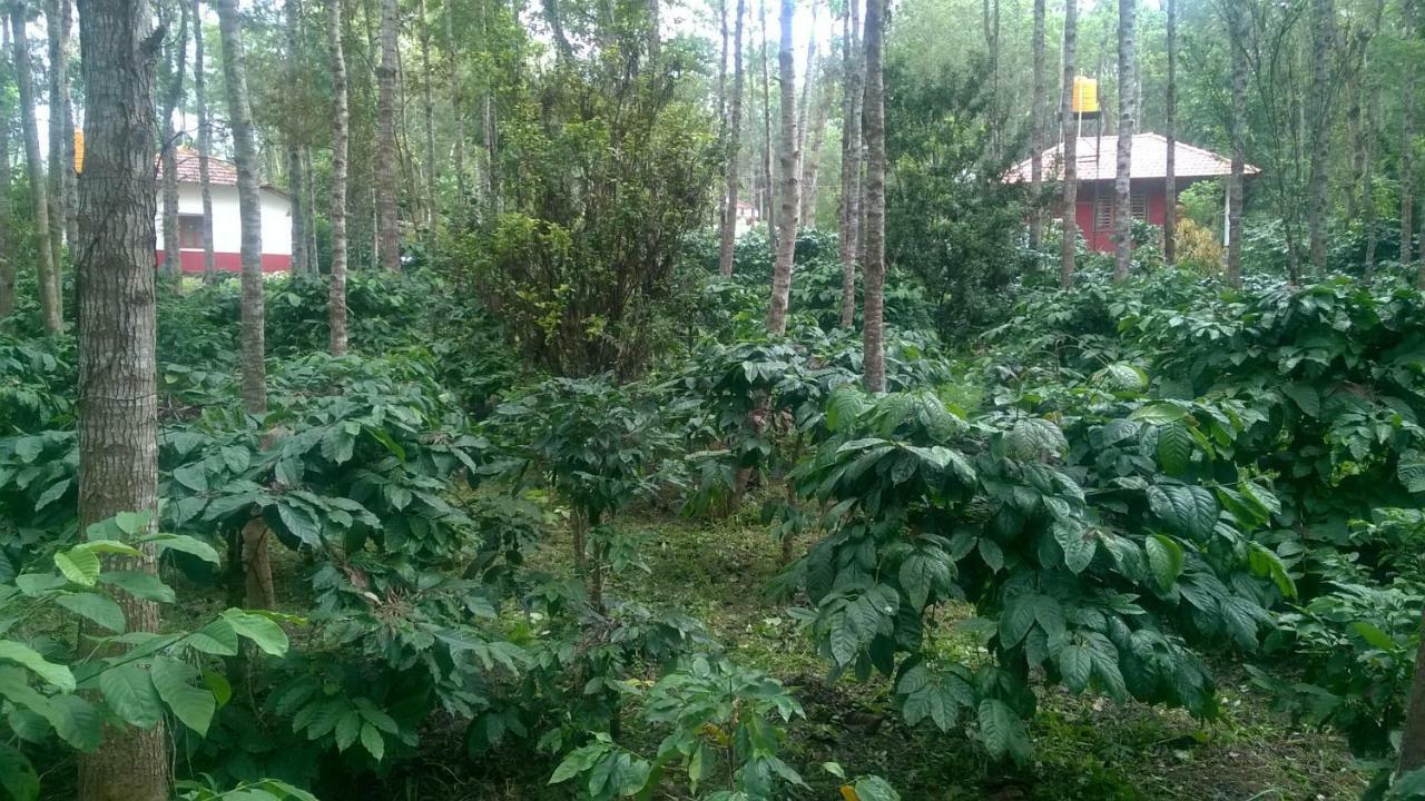 Rai Cottage @ Coorg ,Suntikoppa エクステリア 写真