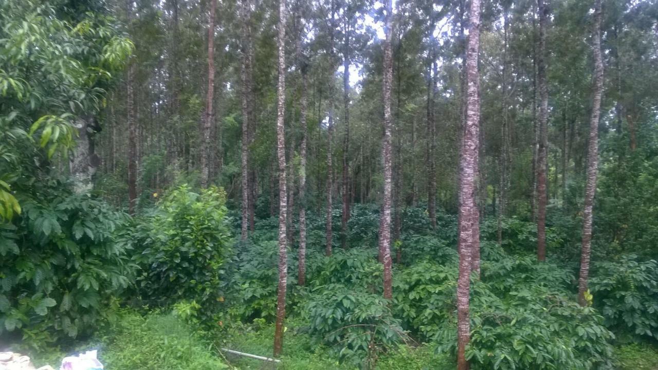 Rai Cottage @ Coorg ,Suntikoppa エクステリア 写真